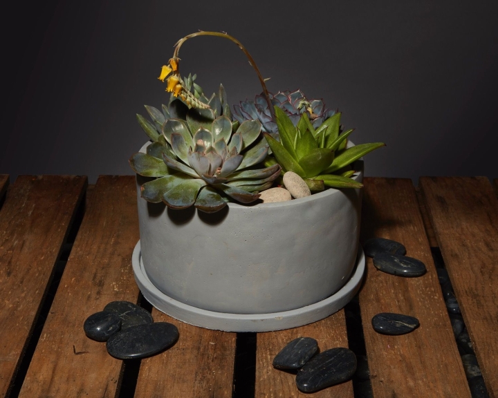 Succulent Pot